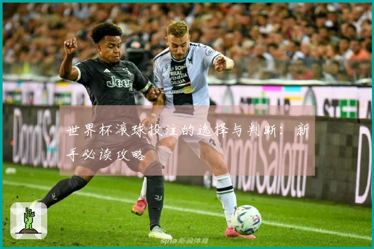 世界杯滚球投注的选择与判断：新手必读攻略