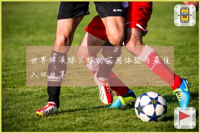世界杯滚球买球的实用体验与最佳入口分享